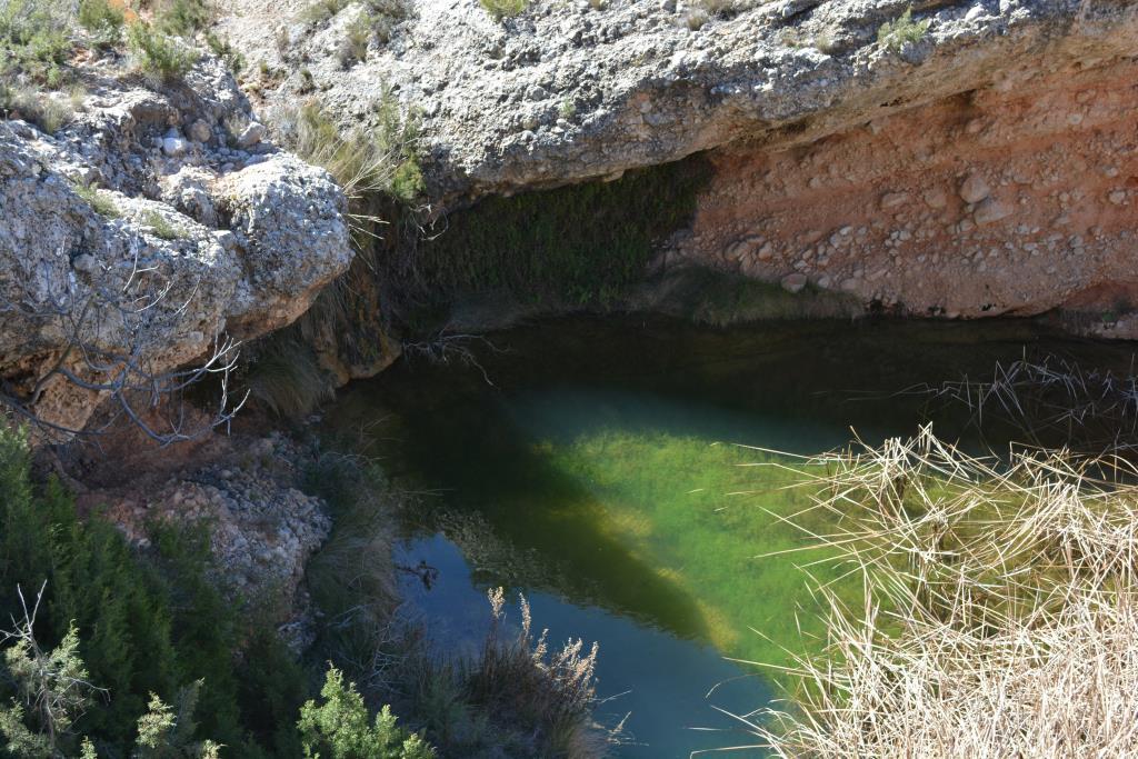 Fuente Charco del Pavo
