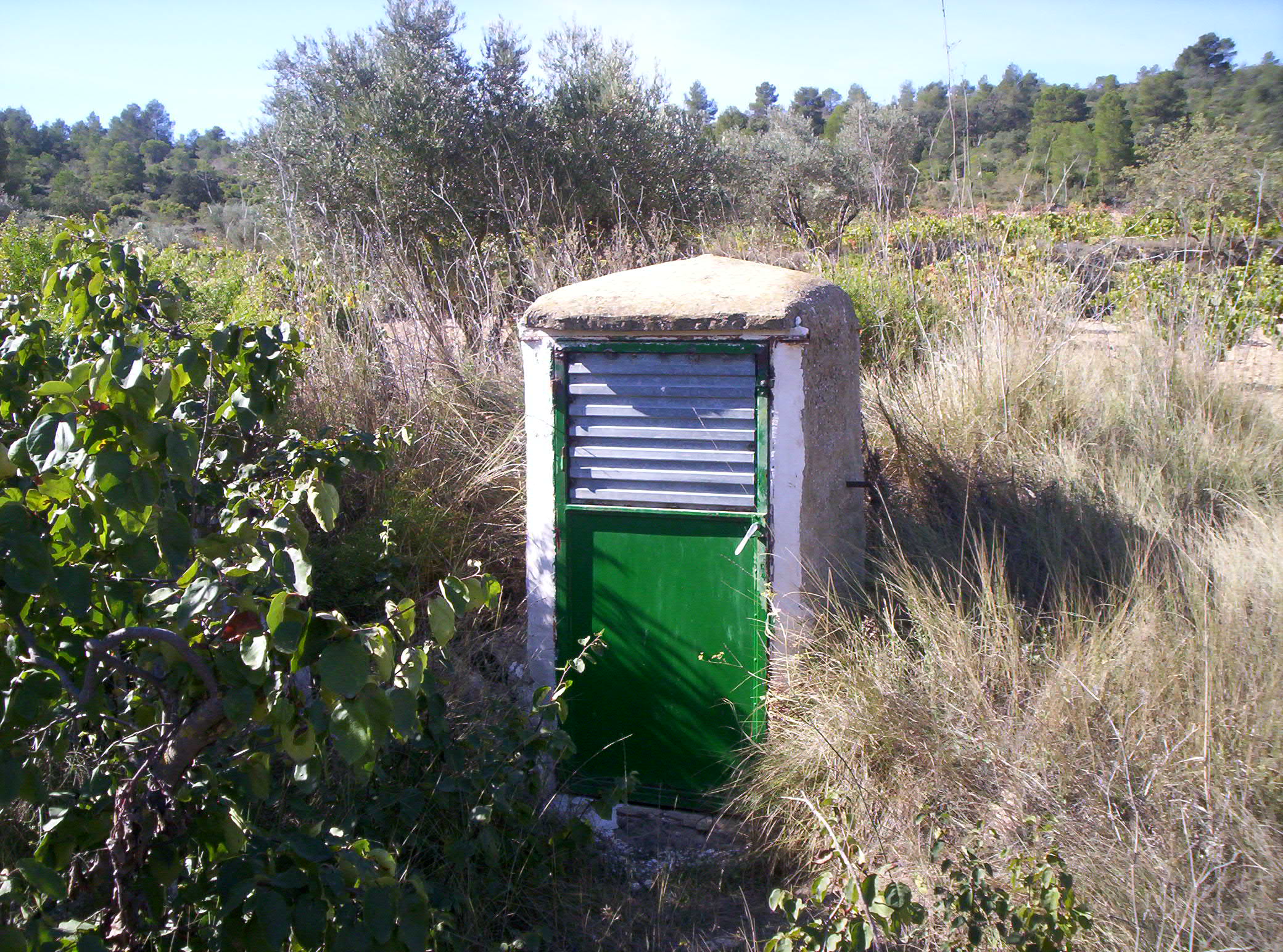 Aljibe Los Cañizos/El Pipí